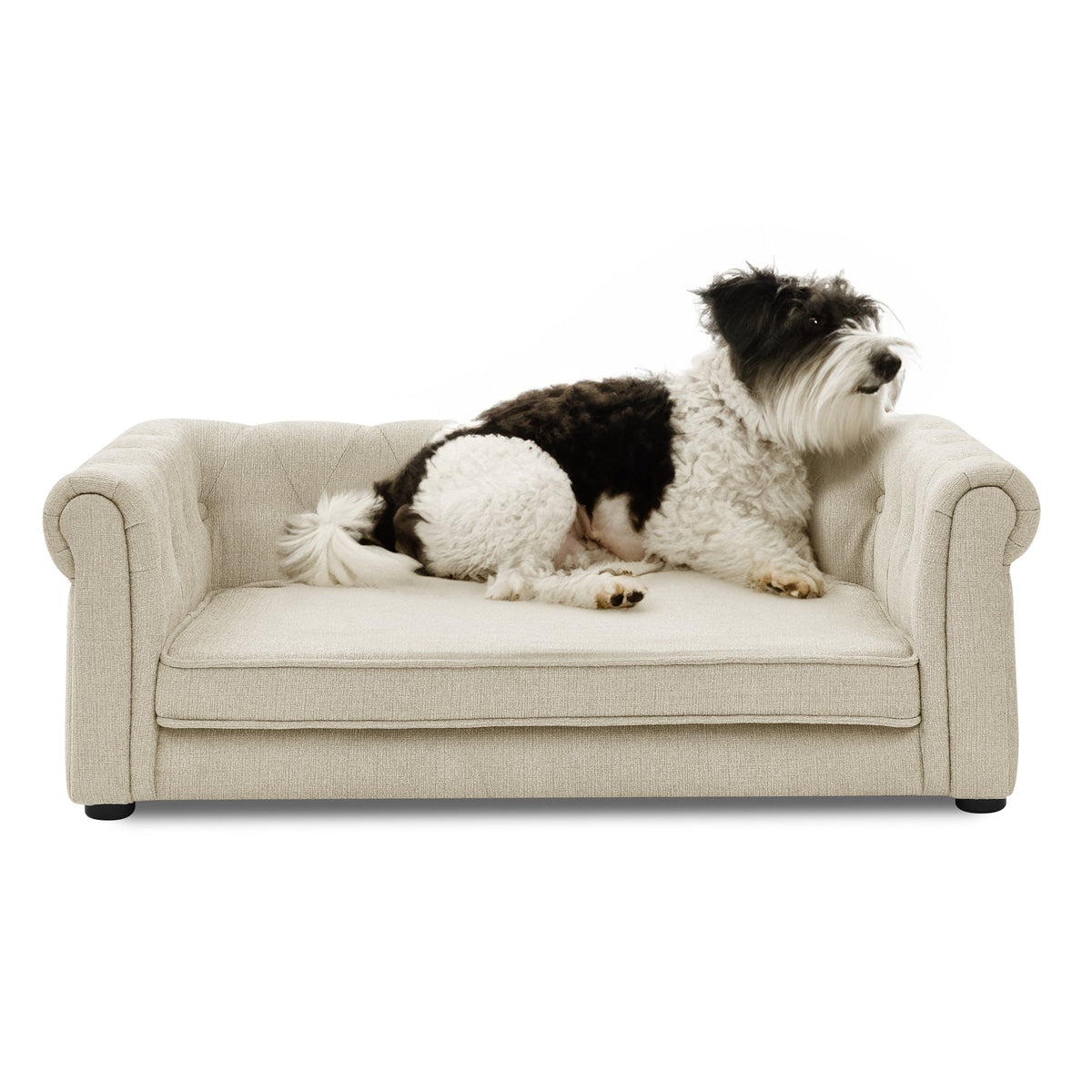 Elevated Beige Dog Sofa Bed