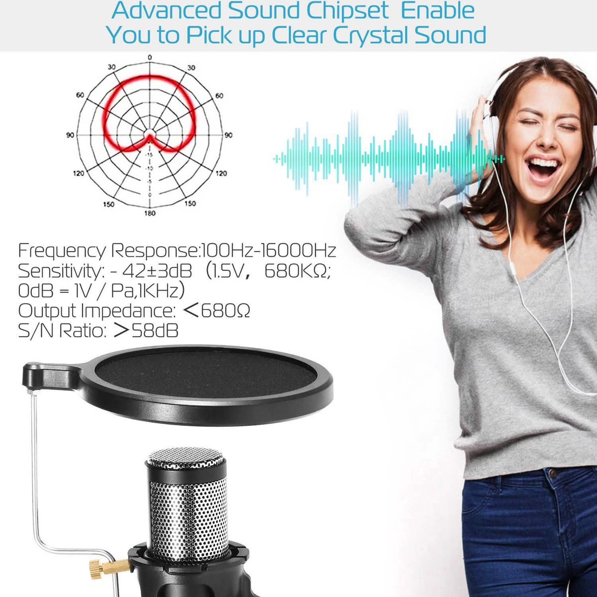 Professional Condenser Microphone